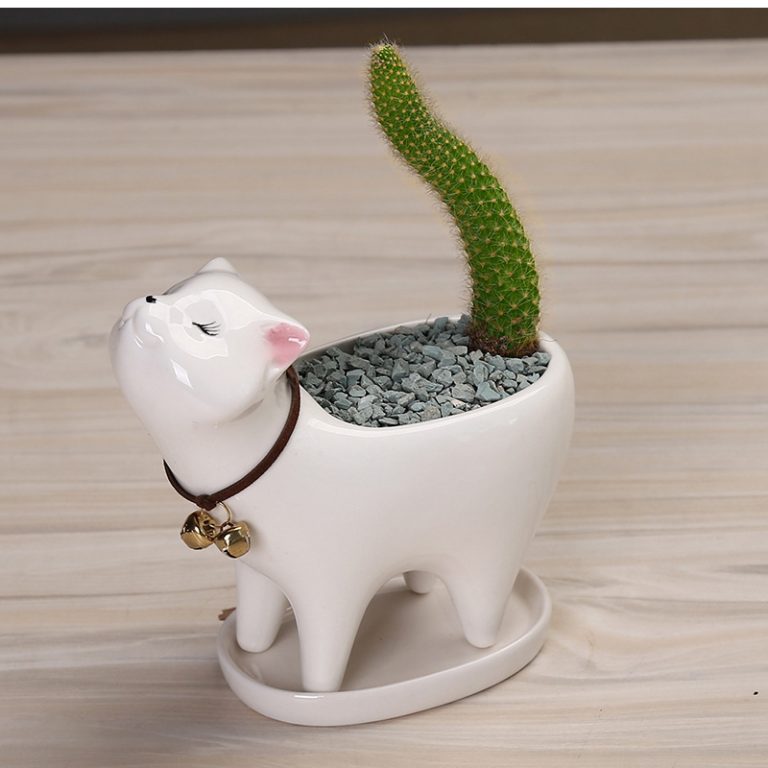 Cat tail succulent cactus ceramic flowerpot